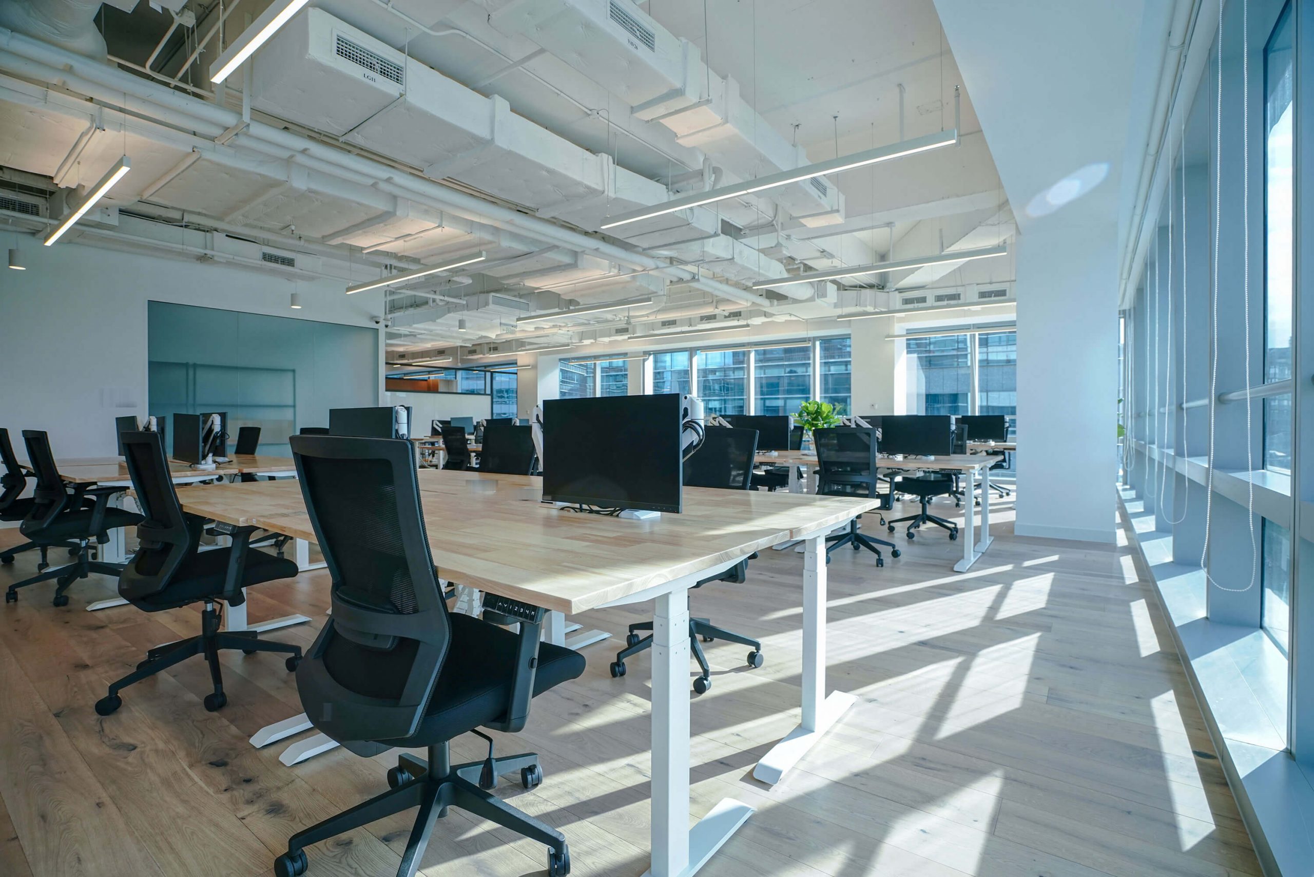 project century park office 2560x1708 1.jpg